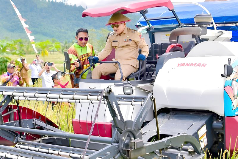 Pemkab Banggai Kejar Kemandirian Pangan Lewat Program Strategis