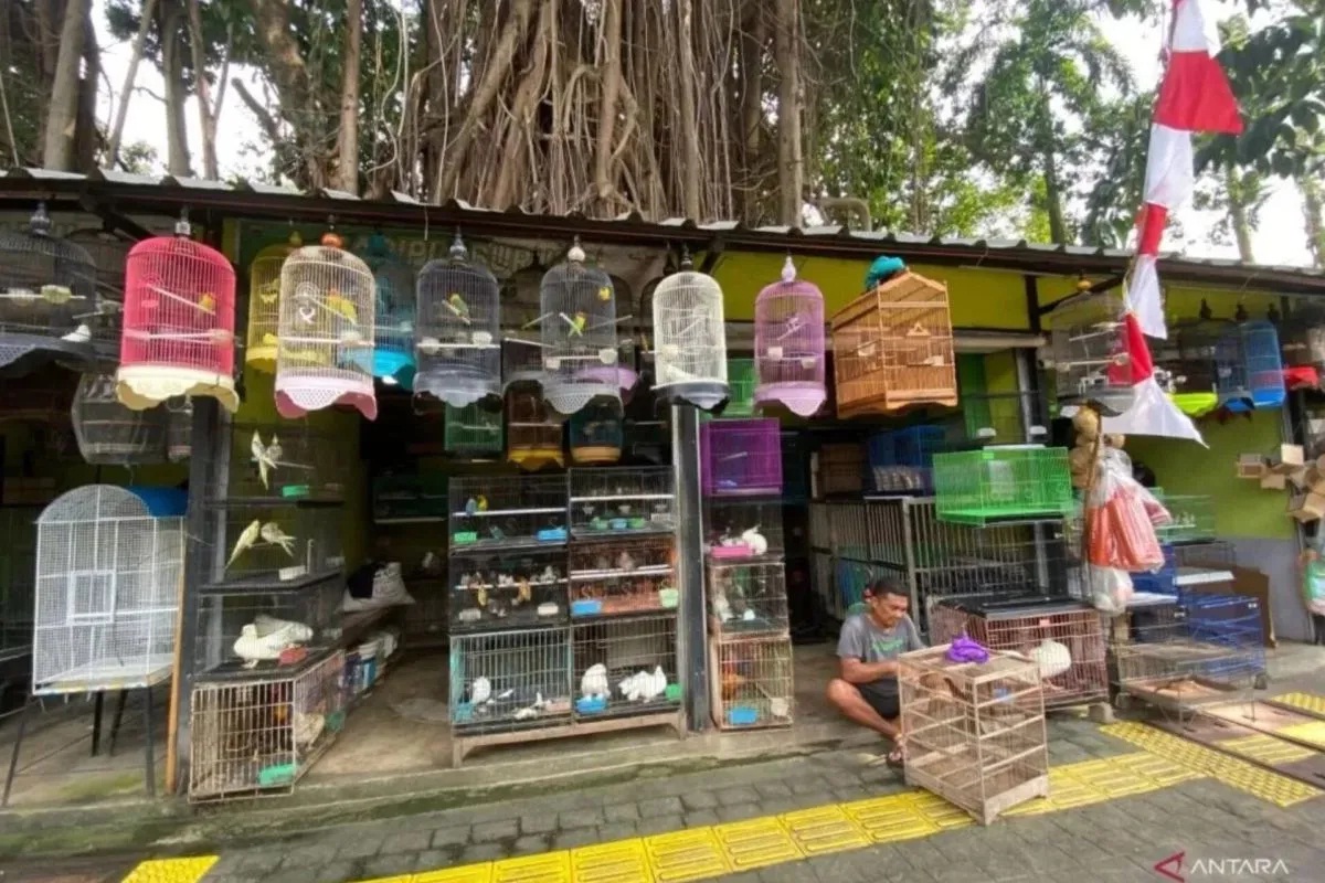 Sentra Fauna dan Kuliner Jakarta Hampir Rampung, Relokasi Pedagang Pasar Barito Mulai 24 September 