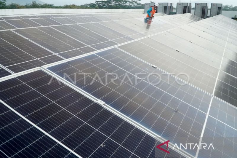 Peneliti BRIN Kembangkan Sel Surya Organik Ramah Lingkungan dan Siap Produksi Massal
