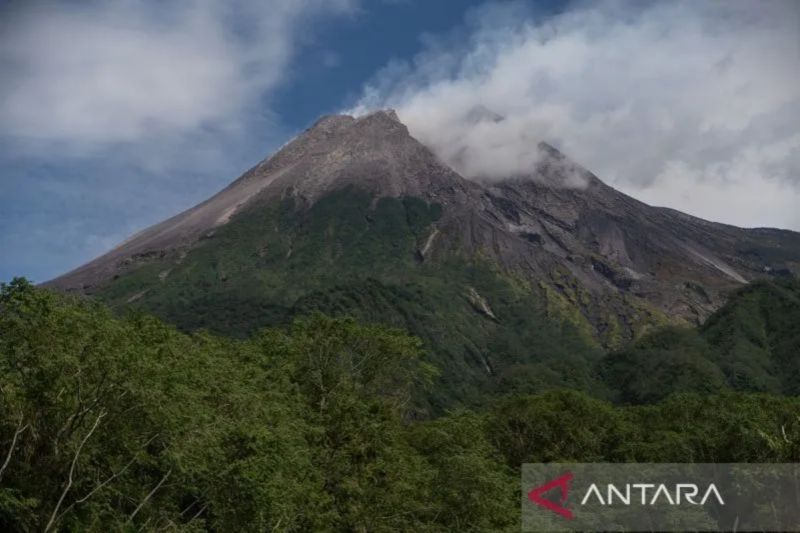Gunung Merapi Luncurkan Awan Panas Guguran Sejauh 2,5 Km