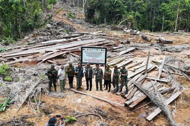 Pembalakan Liar di Mentawai Dihentikan, Kemenhut dan Satgas PKH Bertindak Tegas