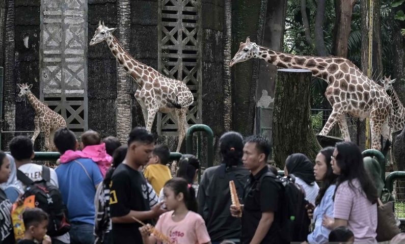 Wisata Malam Hadir di Ragunan, Nikmati Suasana Baru Akhir Pekan Ini