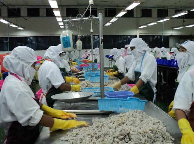 Indonesia Masih Bisa Ekspor Udang ke AS