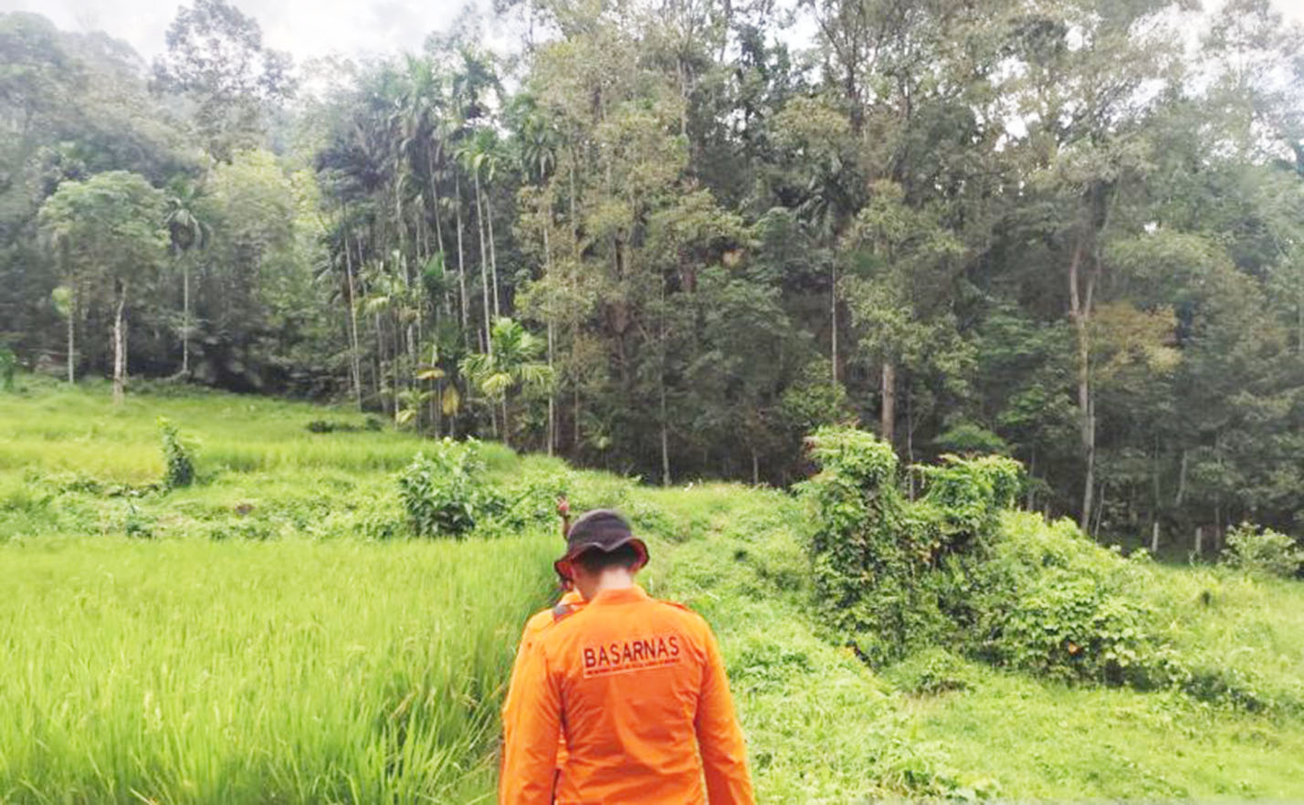 Seorang Petani Hilang di Hutan Solok Selatan