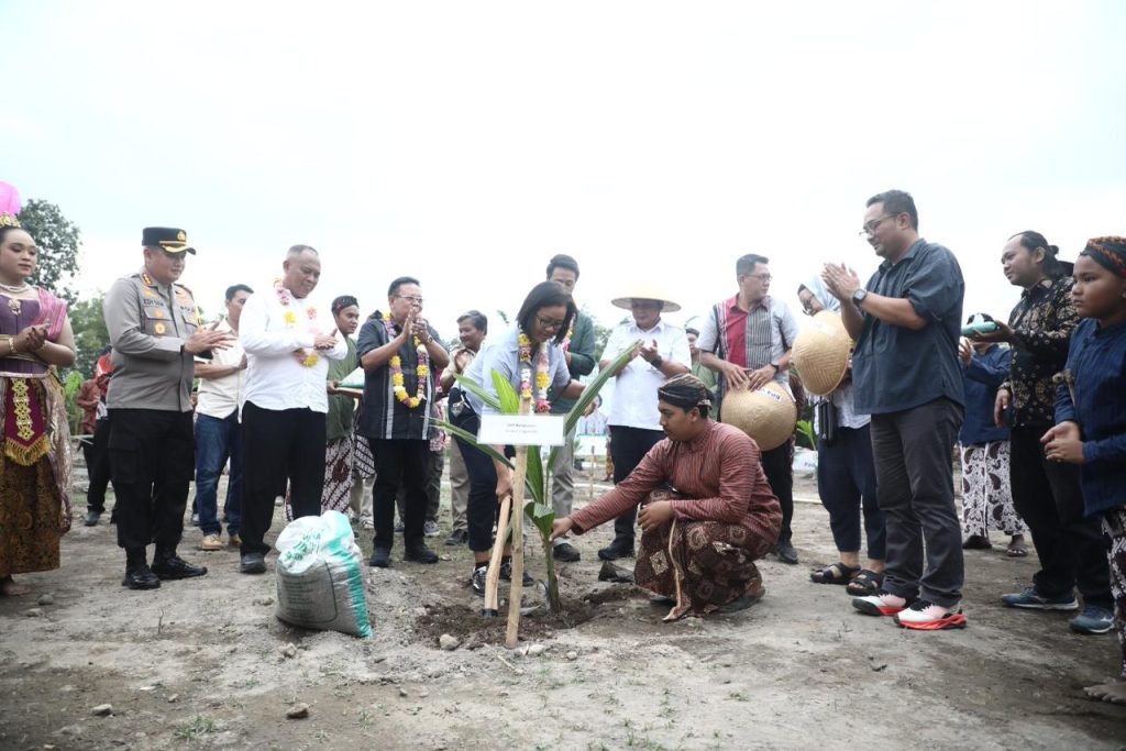 Program Ketahanan Pangan, Sleman Dapat 15 Ribu Bibit Kelapa dari Kementan  