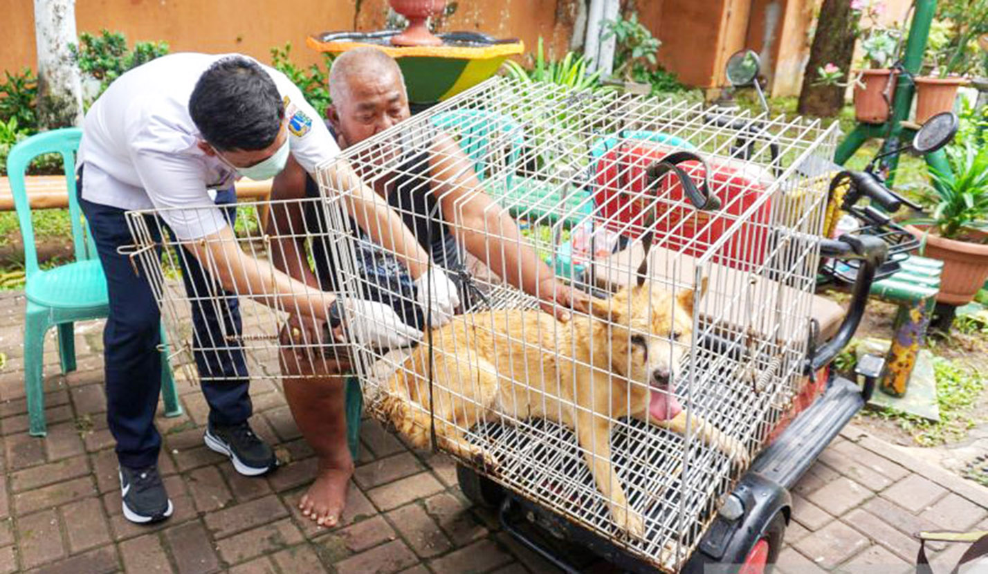 DPRD DKI Dukung Gubernur Pramono Larang Konsumsi Daging Anjing