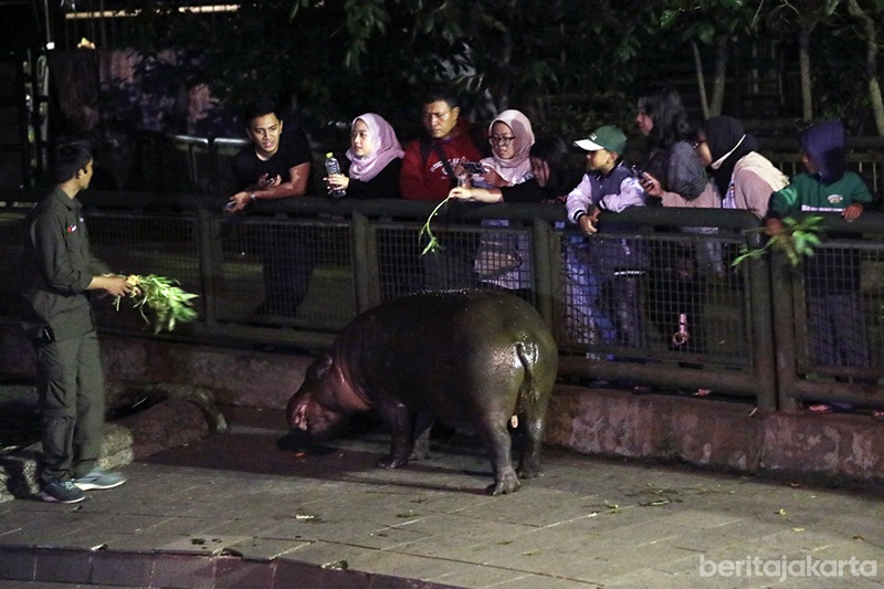 Wisata Malam Ragunan Dibuka Lagi Sabtu Ini, Siapkan JakCard untuk Bayar Tiket Masuk!