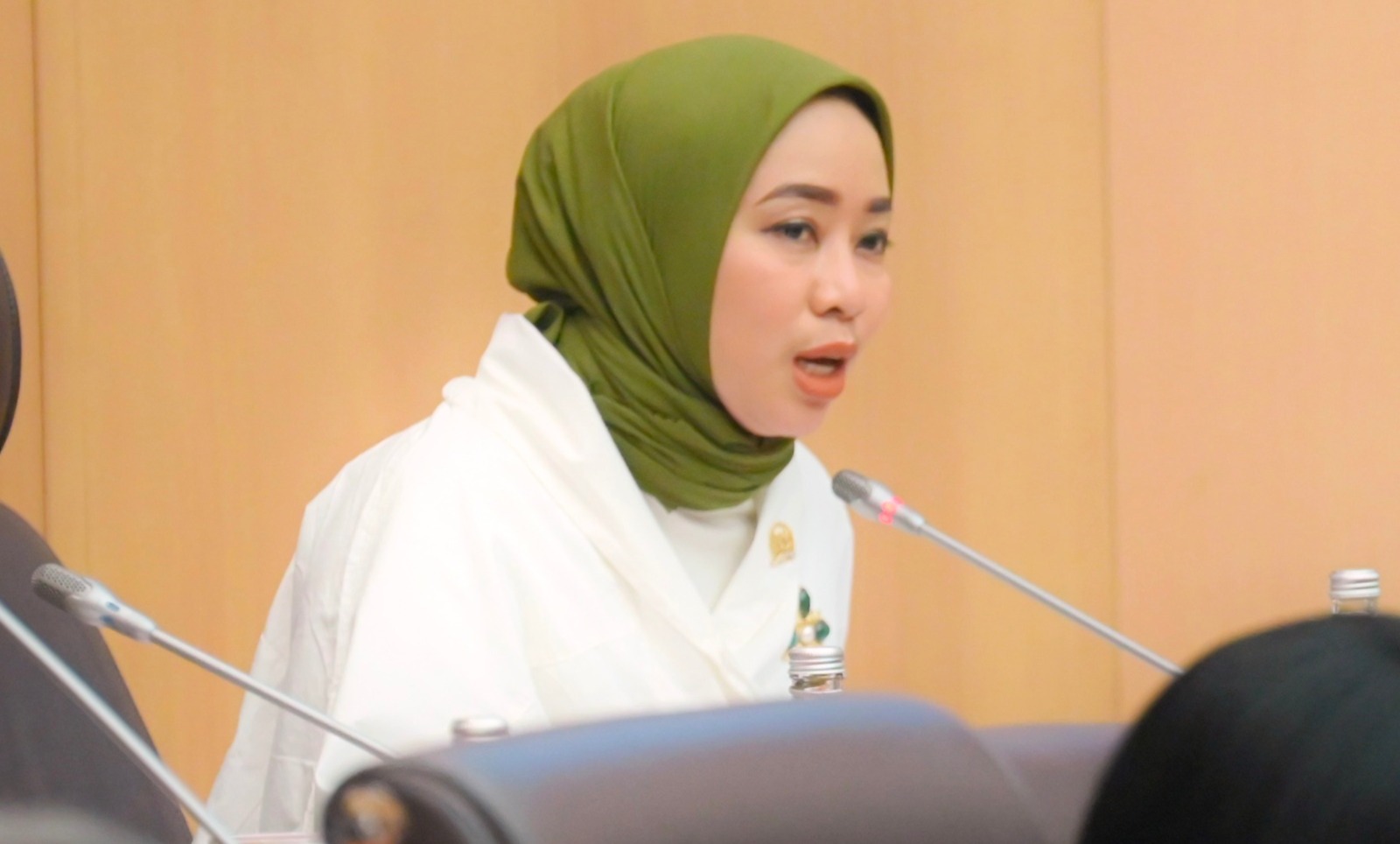 Jangan Jadi Celah Mafia Tambang! Anggota DPR Ratna Juwita Sari Desak Legalisasi Tambang Rakyat Diawasi Ketat Demi Keadilan
