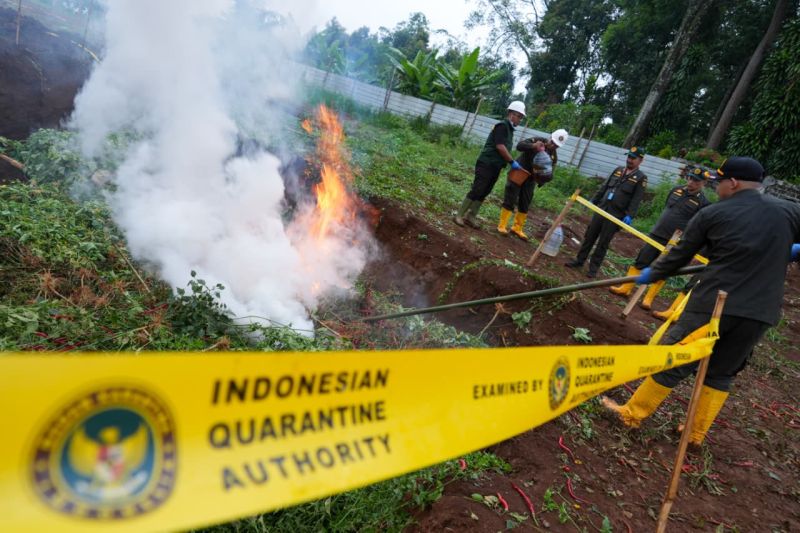 Badan Karantina Indonesia Perkuat Pengawasan pada Komoditas Impor
