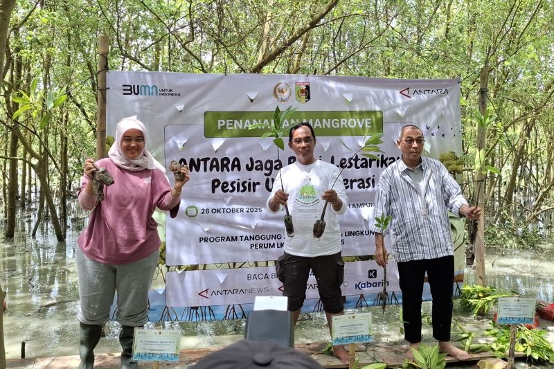 LKBN ANTARA Rehabilitasi Mangrove di Lampung Timur: Wujud Nyata Kepedulian Lingkungan