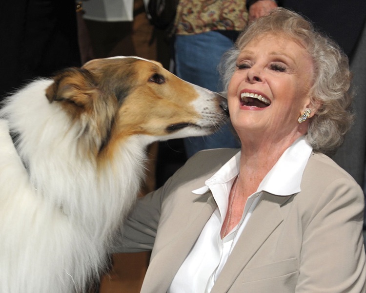 June Lockhart, Bintang Film “Lassie” dan “Lost in Space” Meninggal Dunia di Usia 100 Tahun