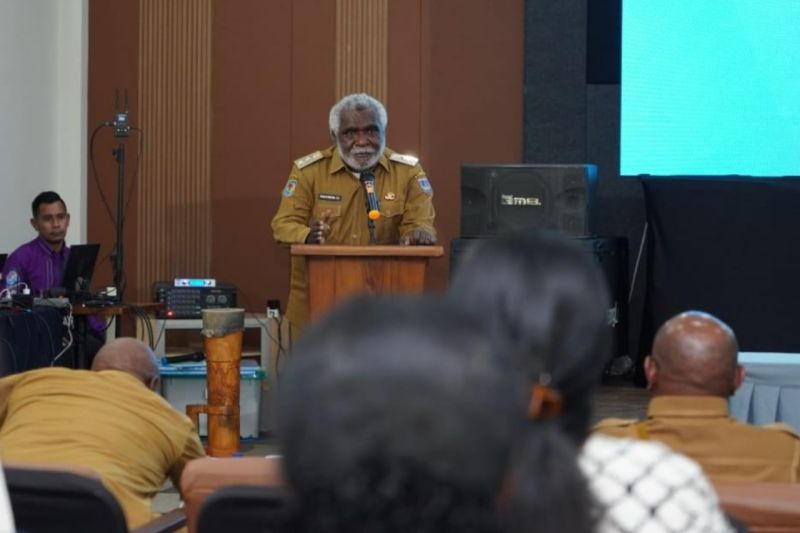 Papua Selatan Luncurkan Kredit Perumahan dan KUR 800 Ribu Debitur