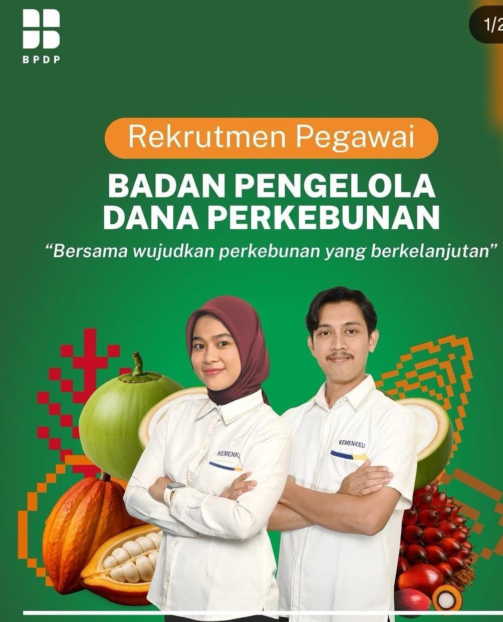 BPDP Buka Lowongan Besar-Besaran 2025, Banyak Posisi Gaji Tinggi buat Fresh Graduate
