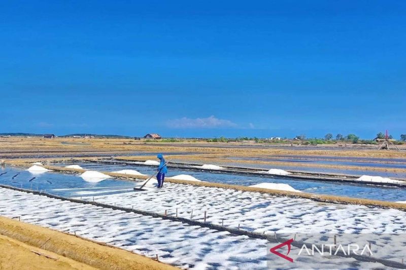 Pemprov Jatim Dorong Modernisasi Tambak Garam, Bangkalan Jadi Percontohan Teknologi Geomembran