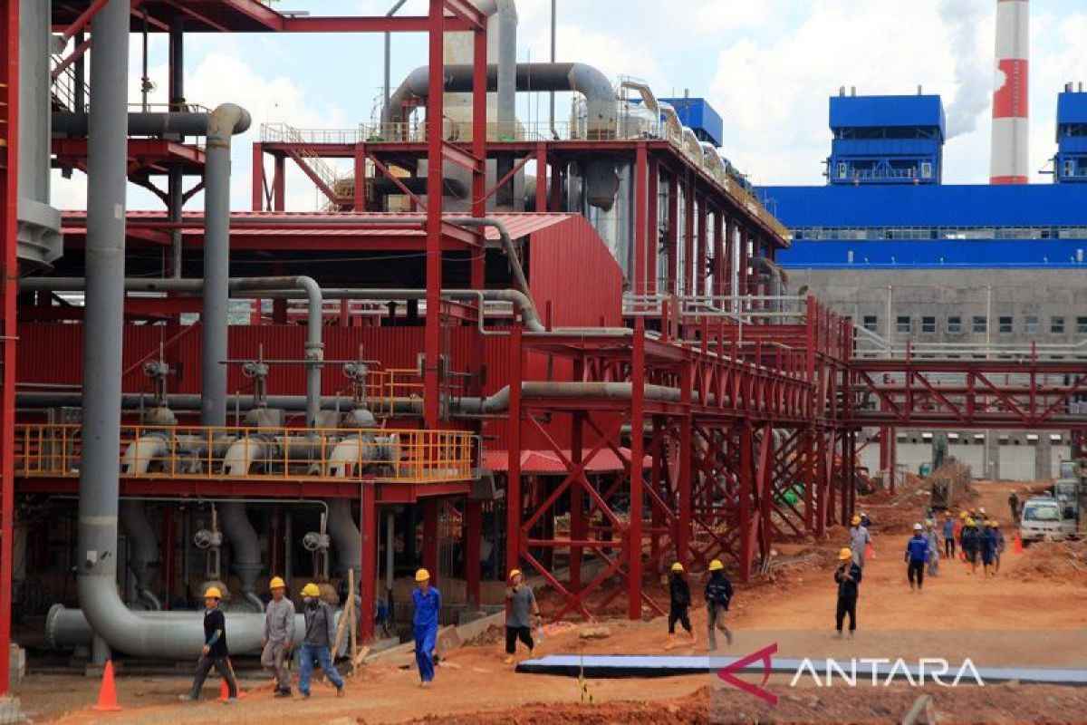 Apindo Sorot Tiga Pilar Baru: Ekonomi Digital, Hijau, dan Hilirisasi Jadi Penentu Arah 2026