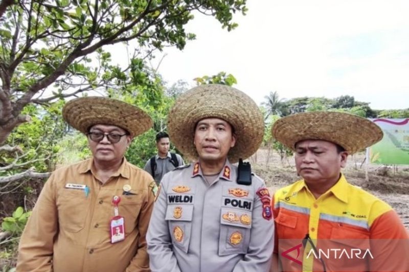 Inovasi Polres Tapin: Ubah Lahan Tidur Satu Hektare Jadi Ladang Jagung untuk Ekonomi Rakyat