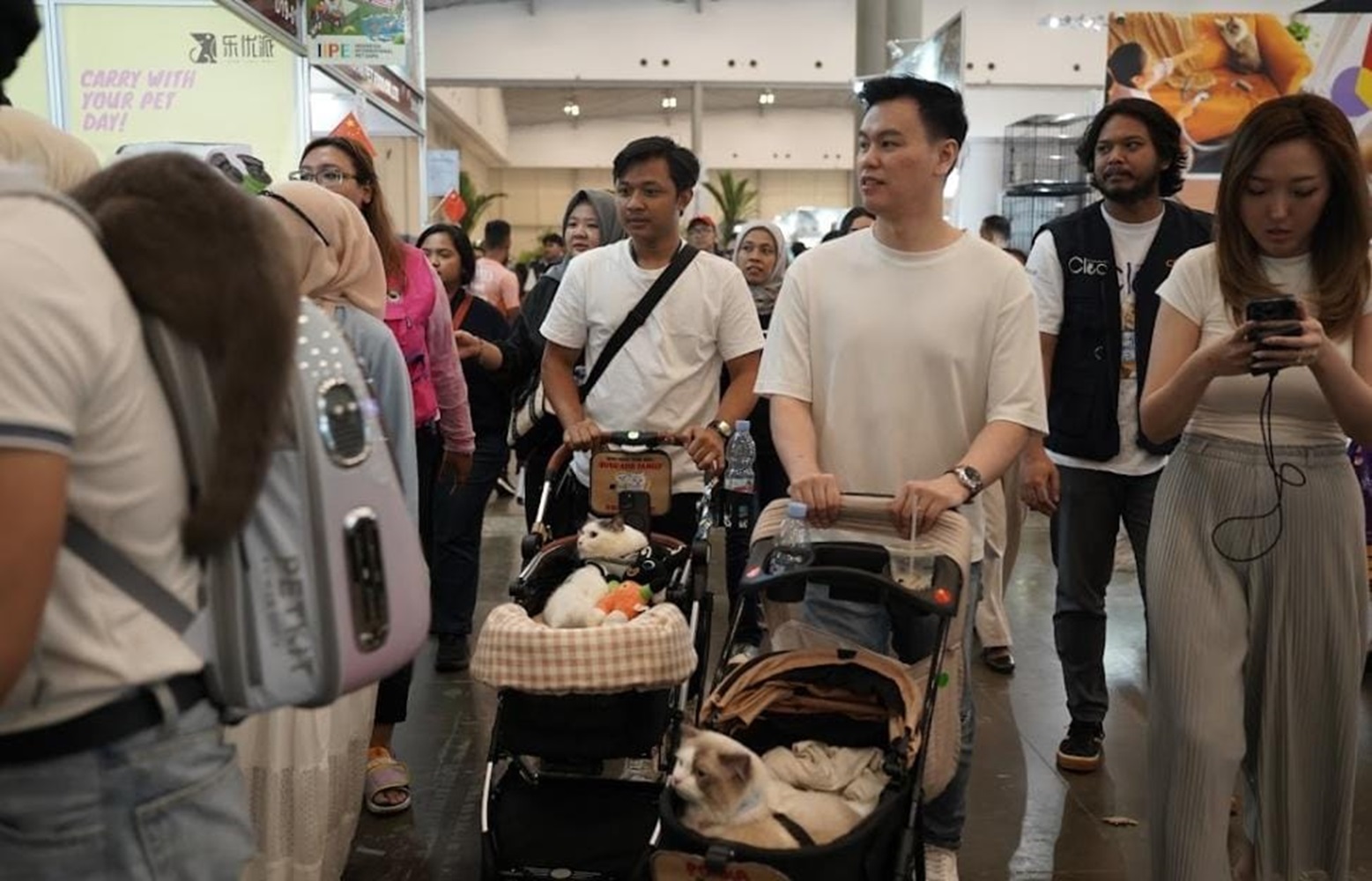 CPPETINDO Ajak Masyarakat Tandatangani Petisi Hentikan Perdagangan Daging Anjing 