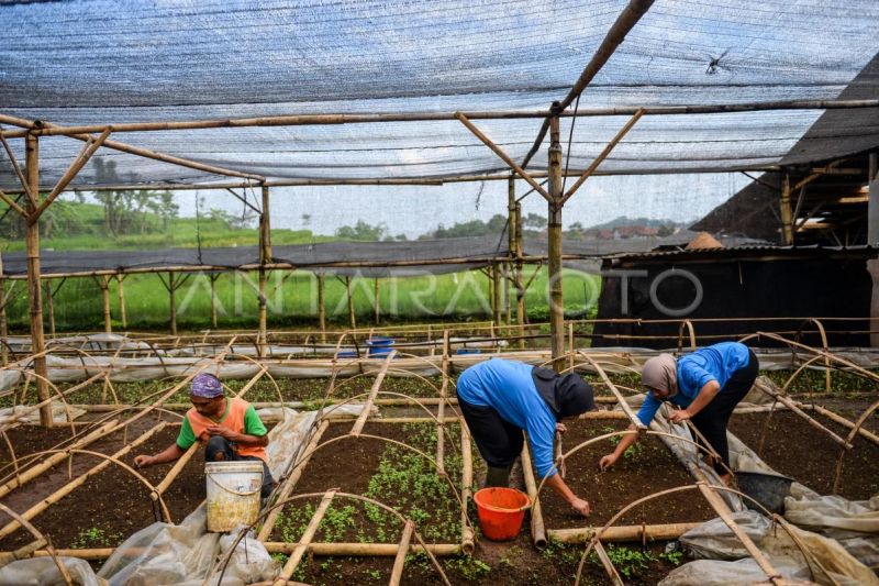 Industri Kuat Berawal dari Produktivitas: Menaker Dorong Transformasi Tenaga Kerja
