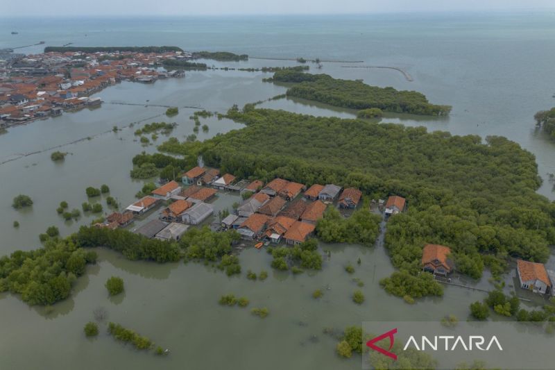 BMKG Ingatkan Masyarakat pada Cuaca Panas, Hujan Petir, hingga Banjir Rob pada Jumat