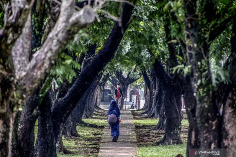 Tak Hanya Tempat Wisata, Kepala BRIN Paparkan Peran Penting Kebun Raya Bagi Pelestarian Keanekaragaman Hayati