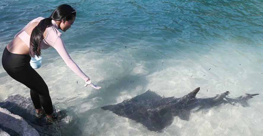 Kepulauan Seribu Kembangkan "Quality Tourism" Perkuat Pariwisata
