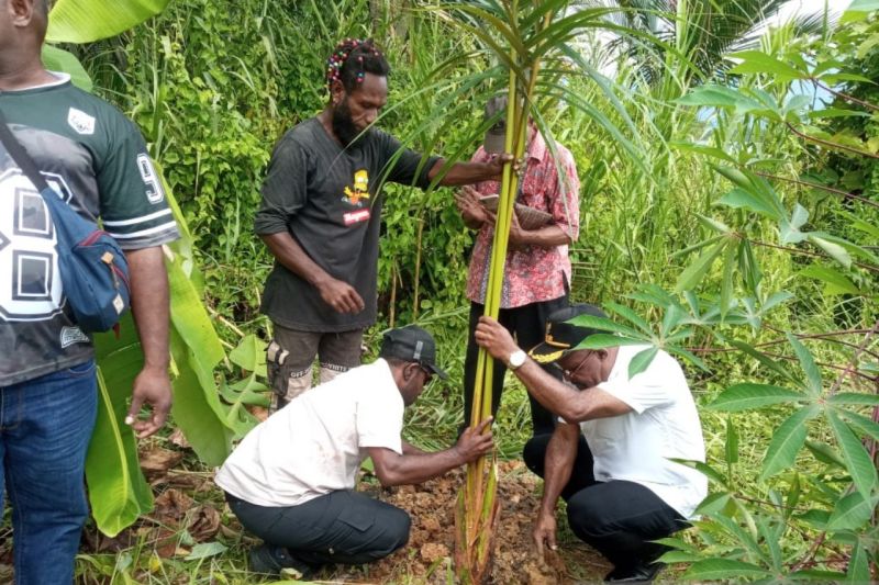 Terancam Pengembangan Permukiman Baru, Pemkab Jayapura Ajak Masyarakat Jaga Hutan Sagu