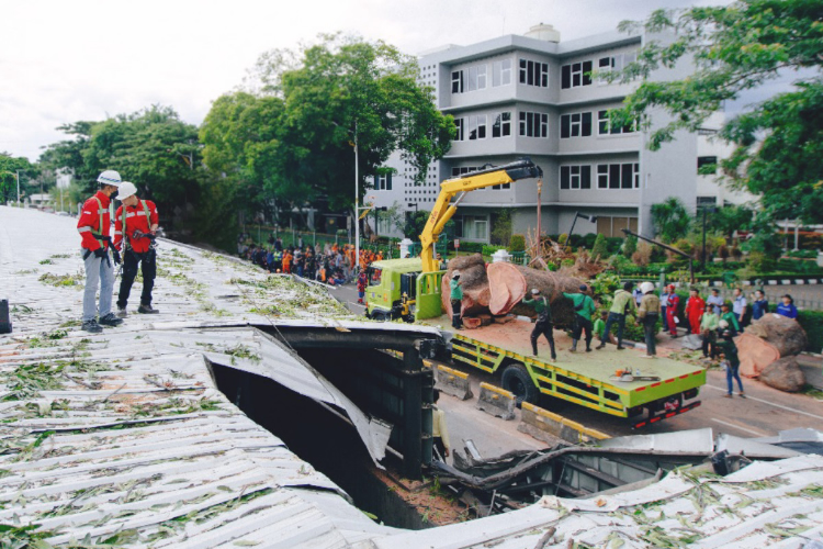 MRT Jakarta Berhasil Pulihkan Layanan Usai Terdampak Pohon Tumbang  