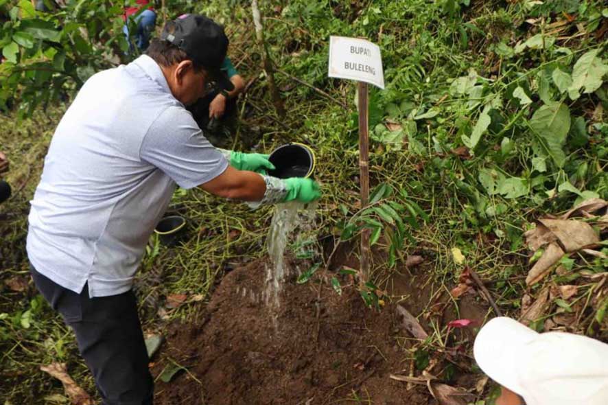 Penanaman Pohon Buah-buahan untuk di Kawasan Hutan Ambengan
