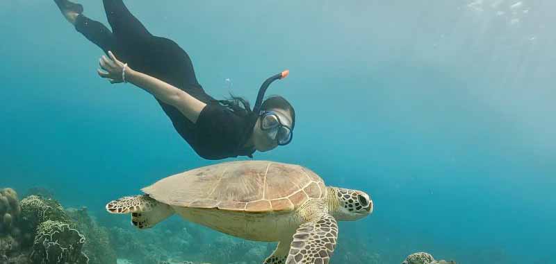 Kisah Pantai Nipah dari Perburuan Penyu hingga Surga "Snorkeling" Keindahan Bawah Laut