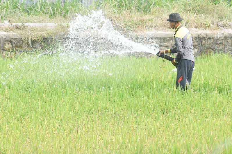 Rawan Meleset, Kementan Diminta Perbaiki Data Petani Penerima Subsidi Pupuk