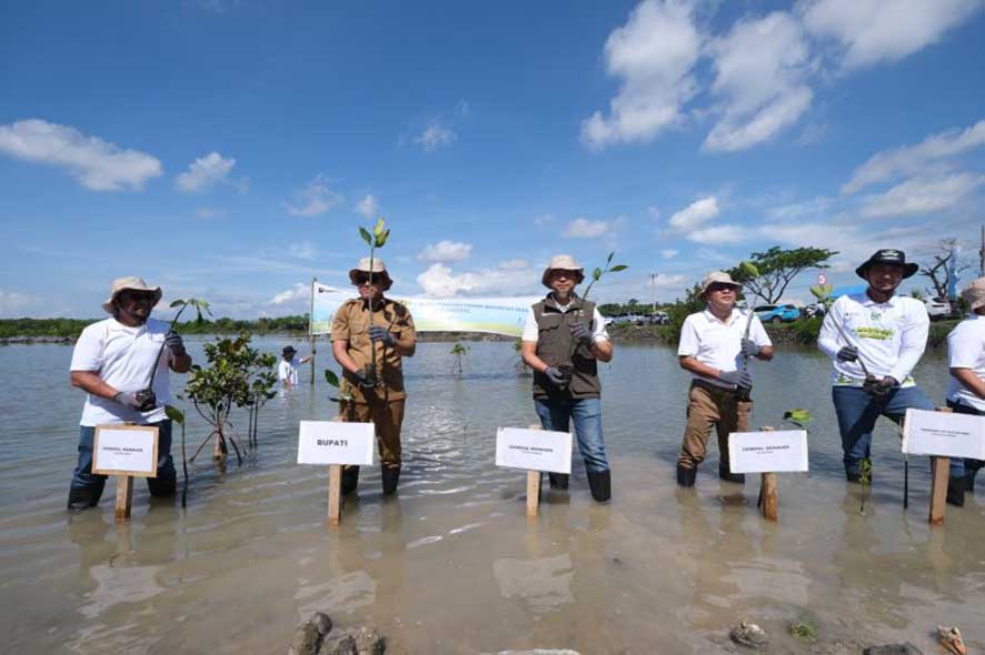 Penanam 10.150 Bibit Pohon di Lahan Kritis di Jeneponto