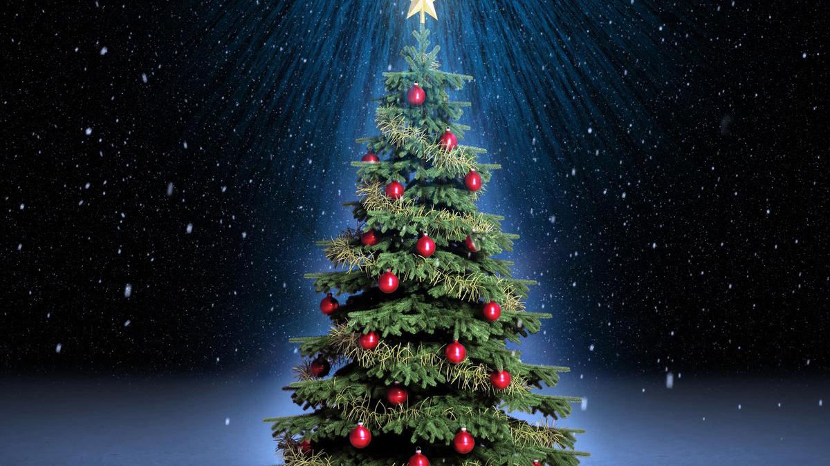 Jayapura Sambut Natal dengan Lomba Membuat Pohon Natal untuk Kembangkan Kreativitas