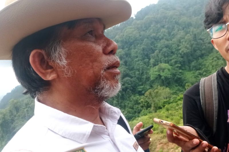 Populasi Macan Tutul, Elang dan Owa Jawa di Taman Nasional Gunung Halimun Salak Terancam Punah