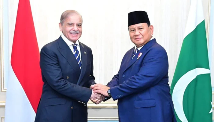 Presiden Prabowo ke Pakistan 8–9 Desember: Bahas MoU Baru di Usia 75 Tahun Hubungan RI-Pakistan
