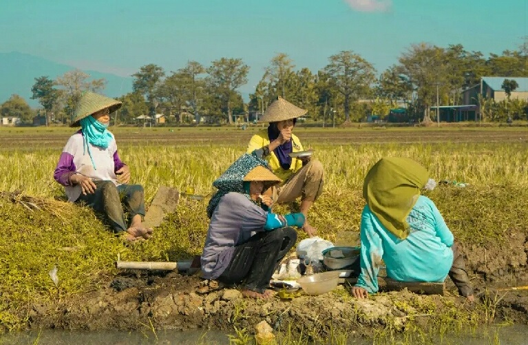 Antisipasi Potensi Bencana Akibat Siklon Tropis, Pemerintah Perlu Perkuat Mitigasi Risiko