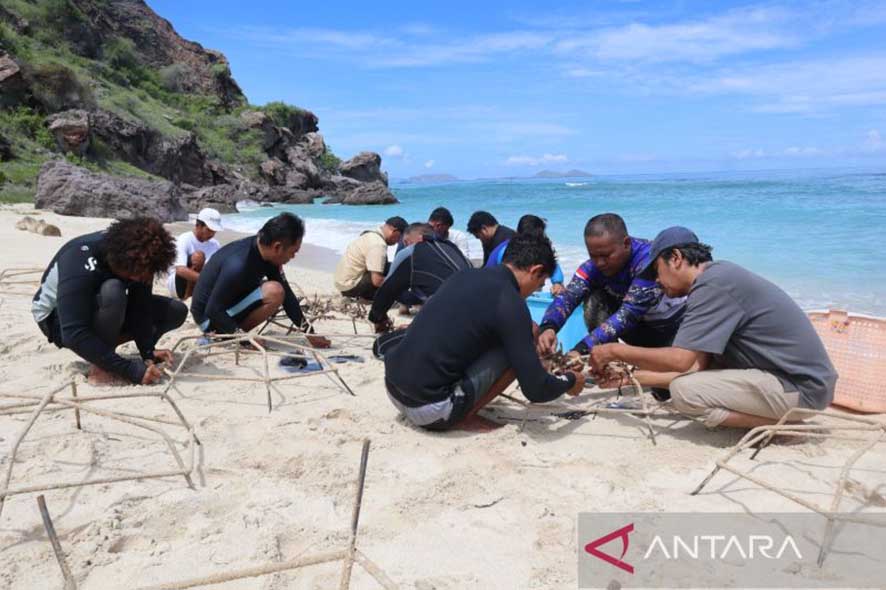 Sanksi Administratif untuk Pelaku Wisata yang Merusak Terumbu Karang di Labuan Bajo