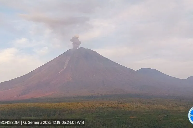 Letusan hingga 1 Km, Hari Ini Semeru Alami 11 Kali Erupsi 