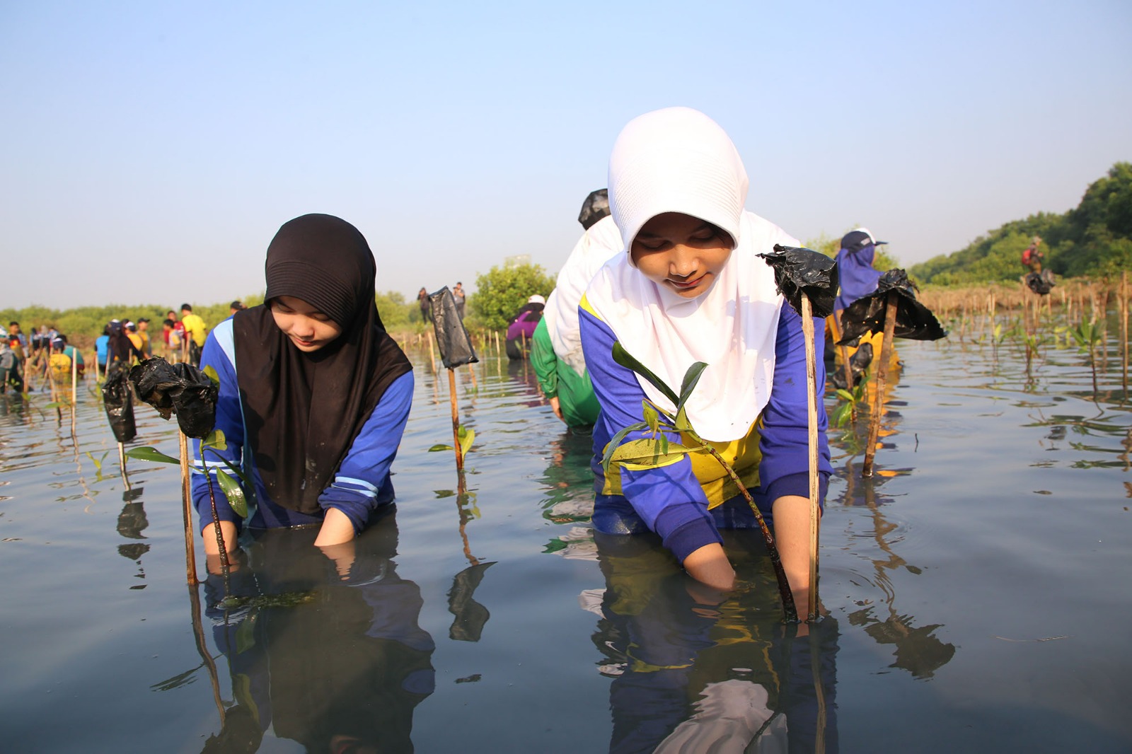Destinasi Libur Nataru: Kebun Raya Mangrove Surabaya Catat 86 Ribu Pengunjung Tahun Ini 