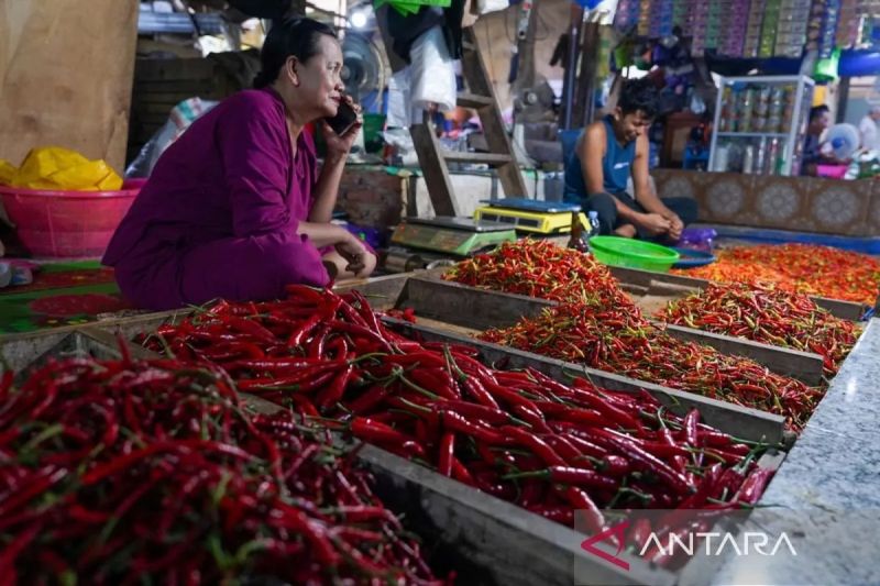 PIHPS: Harga Cabai Rawit Merah Rp73.850/Kg, Telur Ayam Rp33.000/Kg