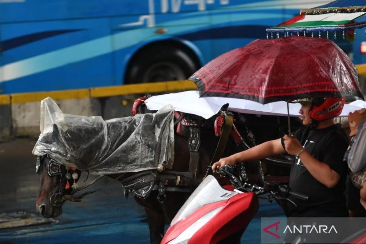 Cuaca Jakarta Hari Ini, BMKG Prakirakan Sebagian Wilayah Diguyur Hujan pada Siang Hari