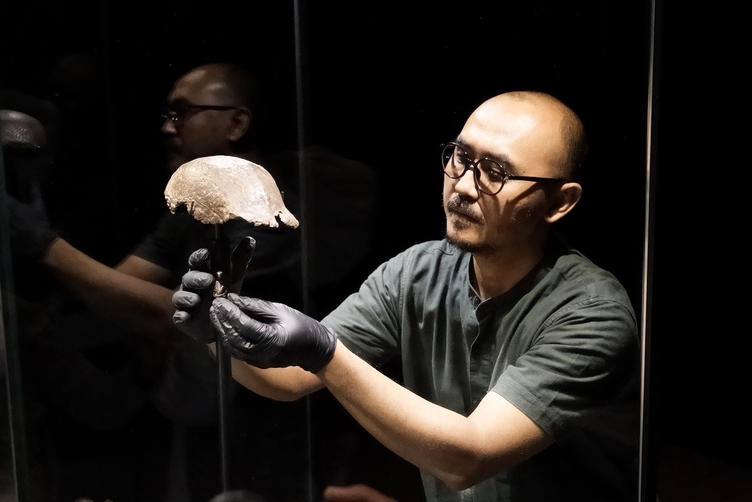 Kembalinya Java Man, Tonggak Penting Sejarah Museum Nasional Indonesia