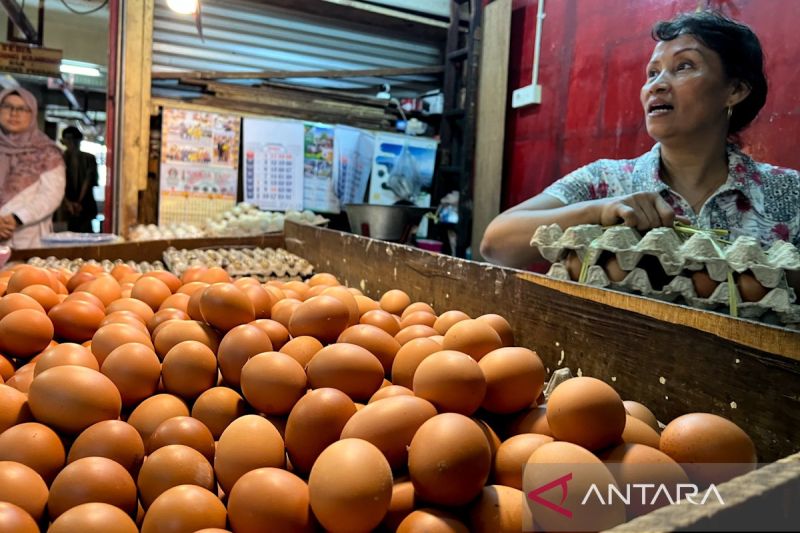 Harga Cabai Rawit Merah Rp67.300/Kg, Telur Ayam Rp32.750/Kg