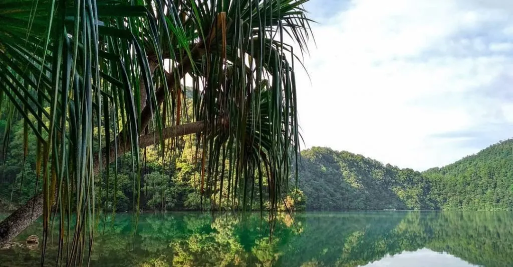 Mengenal Danau Laut Tinggal, Danau Kaldera Purba di Sumatera Barat