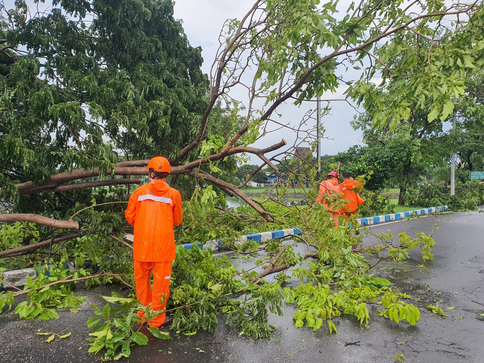 Diserbu Puting Beliung, BPBD Jatim Buka Akses ke Terminal 1 Bandara Juanda yang Tertutup Pohon Tumbang 