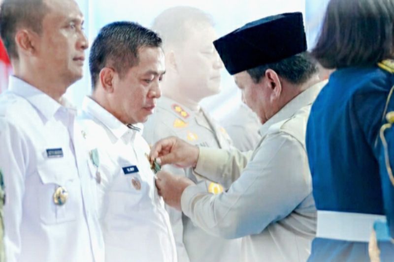 Presiden Prabowo Anugerahi Bupati Karawang Satyalancana Wira Karya 