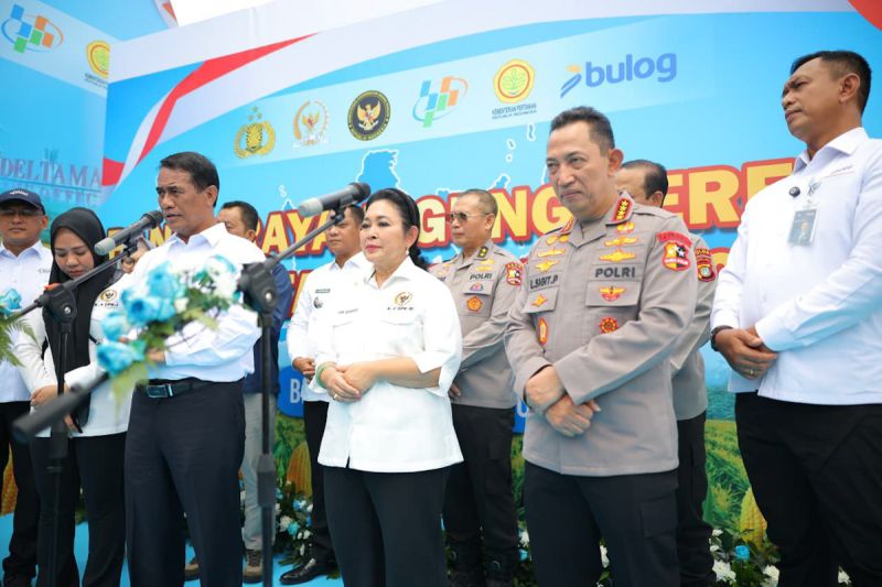 Titiek Soeharto Dorong Ekspor Beras dan Jagung Usai Indonesia Capai Swasembada