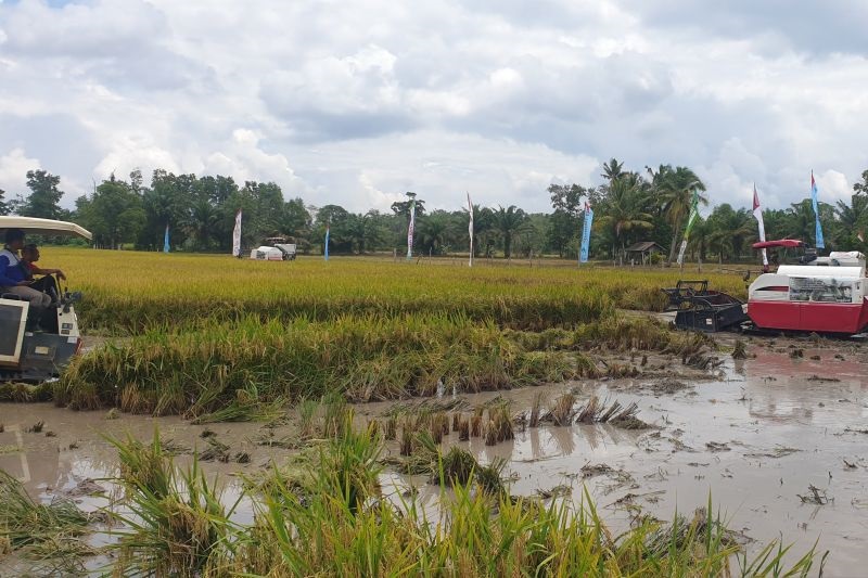 Pemkab Banyuasin Mantapkan Langkah Wujudkan Daerah sebagai Penghasil Beras Nomor Satu Nasional