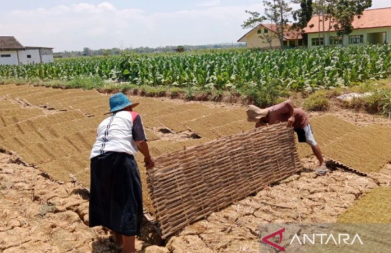 Perlindungan Jamsostek untuk 1.724 Pekerja Rentan di Pamekasan