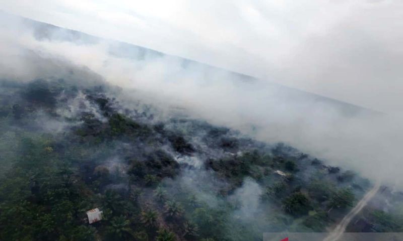 Aneh, di Puncak Musim Hujan Kebakaran Hutan dan Lahan Justru Melanda Aceh Barat