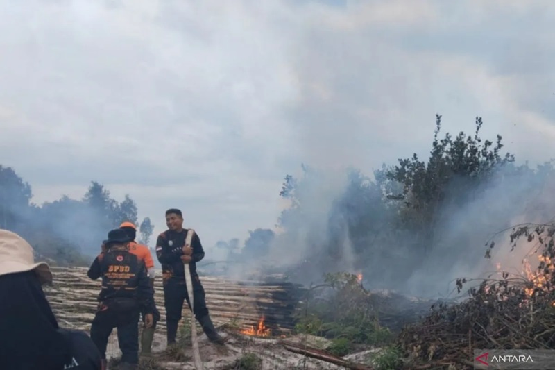 BNPB: Kebakaran Hutan Terjadi di Aceh, Riau dan Kalteng Meski Masih Musim Hujan
